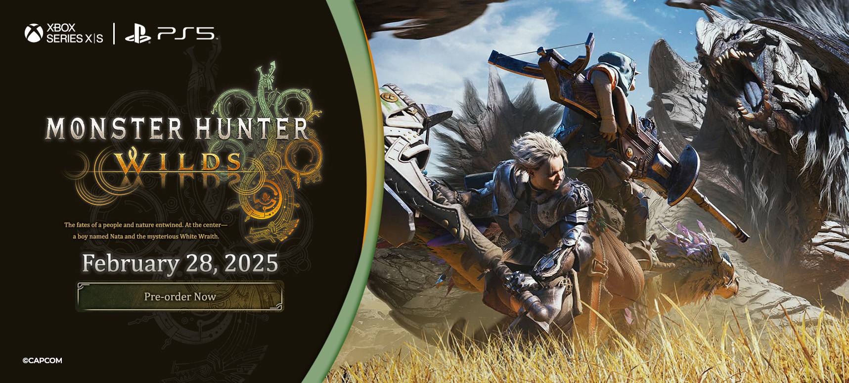 Image 27: Monster Hunter Wilds