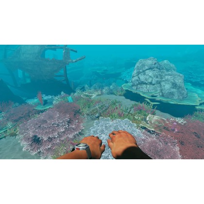 Switch Stranded Deep [ EU Eng ]