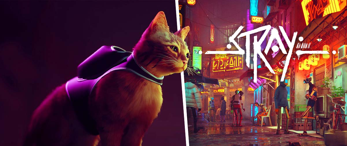 The New PlayStation 5 Game 'Stray' Lets You Be A Mystery Solving Cat In A  Neon-Lit Cyberpunk City